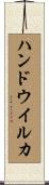ハンドウイルカ Scroll