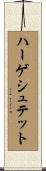 ハーゲシュテット Scroll