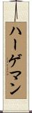 ハーゲマン Scroll