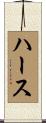 Haas Scroll