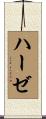 Haase Scroll