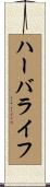 ハーバライフ Scroll