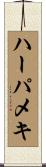 ハーパメキ Scroll