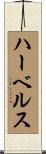 ハーベルス Scroll