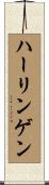 ハーリンゲン Scroll