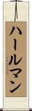 ハールマン Scroll