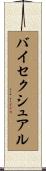 バイセクシュアル Scroll