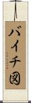 バイチ図 Scroll