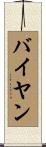 バイヤン Scroll