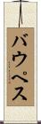 バウペス Scroll