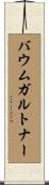 バウムガルトナー Scroll