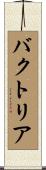 バクトリア Scroll