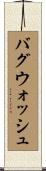 バグウォッシュ Scroll