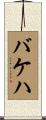バケハ Scroll