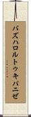 バズハロルトゥキパニゼ Scroll