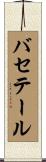 バセテール Scroll