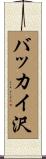 バッカイ沢 Scroll