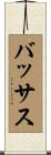 バッサス Scroll