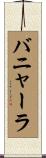 バニャーラ Scroll