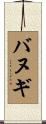 バヌギ Scroll