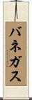 Banegas Scroll