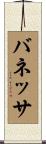 バネッサ Scroll