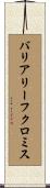 バリアリーフクロミス Scroll