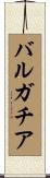 バルガチア Scroll