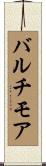 バルチモア Scroll