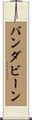 バンダビーン Scroll