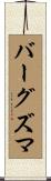 バーグズマ Scroll