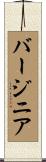 バージニア Scroll
