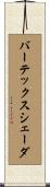 バーテックスシェーダ Scroll