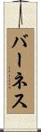 Barnes Scroll