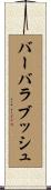 バーバラブッシュ Scroll