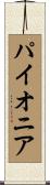 パイオニア Scroll