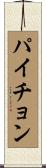 パイチョン Scroll