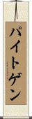 パイトゲン Scroll