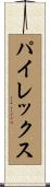 パイレックス Scroll
