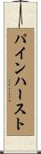 パインハースト Scroll