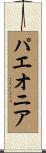 パエオニア Scroll