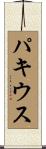 パキウス Scroll