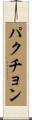 パクチョン Scroll