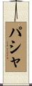 パシャ Scroll