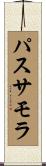 パスサモラ Scroll