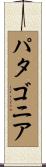 パタゴニア Scroll