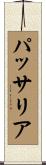 パッサリア Scroll