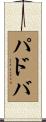 パドバ Scroll