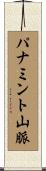 パナミント山脈 Scroll
