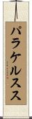 パラケルスス Scroll